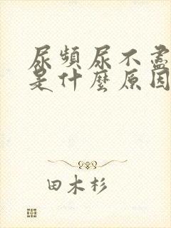 尿频尿不尽疼痛是什么原因封面