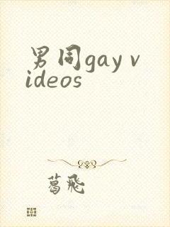男同gay videos