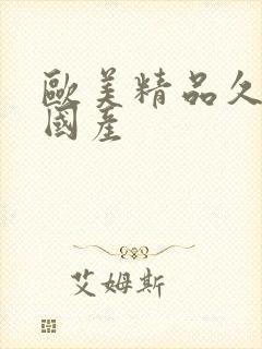 欧美精品久久久国产