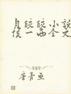 月皎皎小说by侯一西全文免费阅读