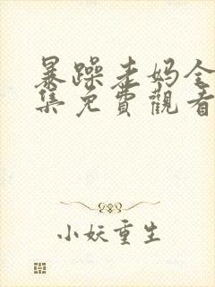 暴躁老妈全部剧集免费观看