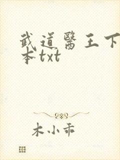 武道医王下载全本txt