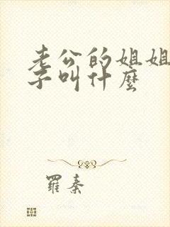 老公的姐姐的孩子叫什么封面