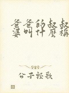 爸爸的叔叔的老婆叫什么称呼封面