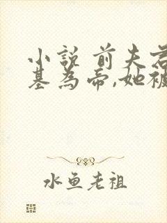 小说 前夫君登基为帝,她被逼和离