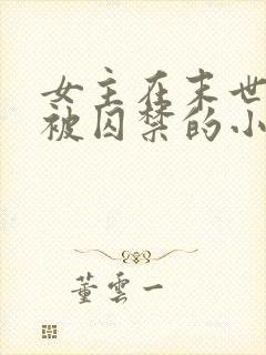 女主在末世很美被囚禁的小说