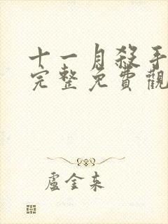 十一月杀手在线完整免费观看