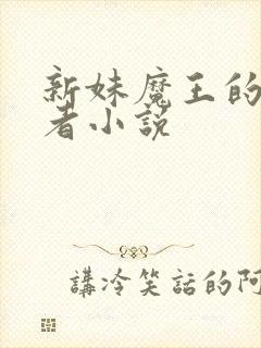 新妹魔王的契约者小说