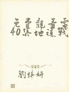 免费观看电视剧40集地道战