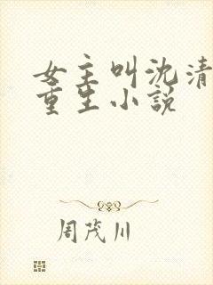 女主叫沈清宁的重生小说