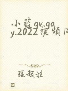 小蓝gv.gay.2022视频网站封面