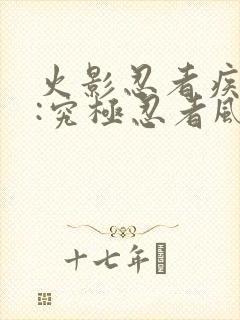 火影忍者疾风传:究极忍者风暴4封面