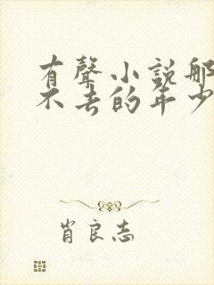 有声小说那些回不去的年少时光封面