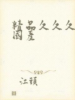 精品久久久久久国产封面