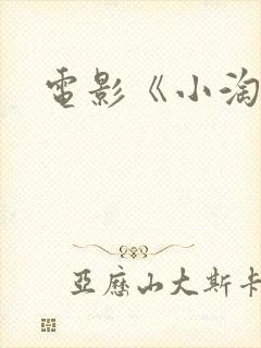 电影《小淘气》