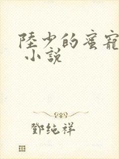 陆少的蜜宠甜妻 小说
