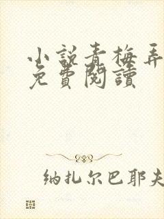 小说青梅弄竹马免费阅读