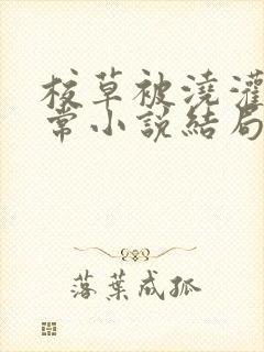 校草被浇灌的日常小说结局