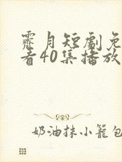 霁月短剧免费观看40集播放