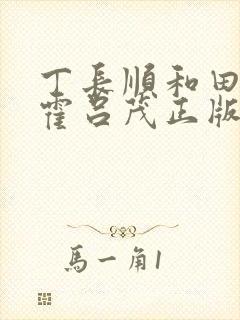 丁长顺和田晓兰霍吕茂正版