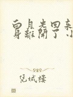 白月光回来后替身离开了 小说