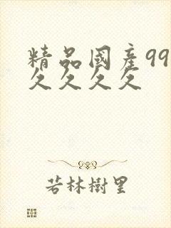 精品国产99久久久久久