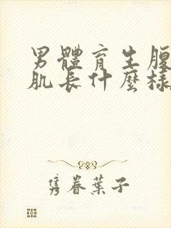 男体育生腹肌胸肌长什么样