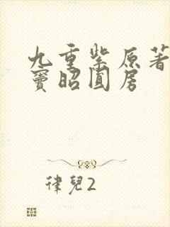 九重紫原著宋墨窦昭圆房