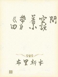 《带着空间去种田》小说