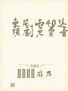 东风雨40集电视剧免费看