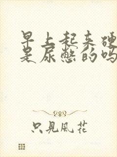 早上起来硬硬的是尿憋的吗