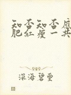 知否知否应是绿肥红瘦一共多少集