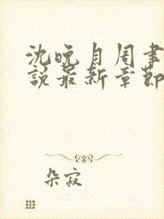 沈晚月周聿白小说最新章节更新