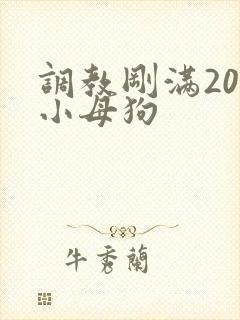 调教刚满20岁小母狗封面