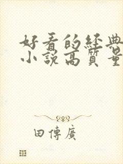 好看的经典言情小说高质量文笔好封面