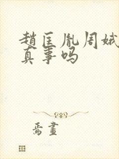 赵匡胤周娥皇是真事吗