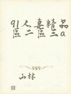 91人妻精品一区二区三a