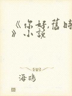 《你好,旧时光》小说