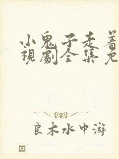 小鬼子走着瞧电视剧全集免费观看封面