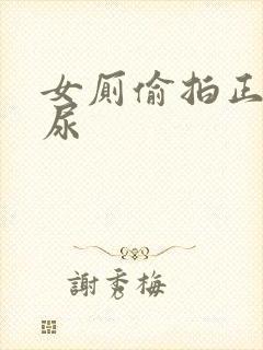 女厕偷拍正面尿尿