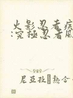 火影忍者疾风传:究极忍者风暴3