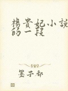 杨贵妃小说较黄的一段