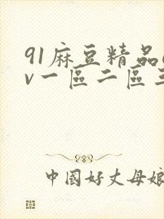91麻豆精品av一区二区三区在线