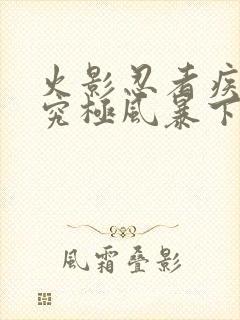 火影忍者疾风传究极风暴下载封面