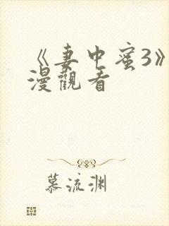 《妻中蜜3》动漫观看