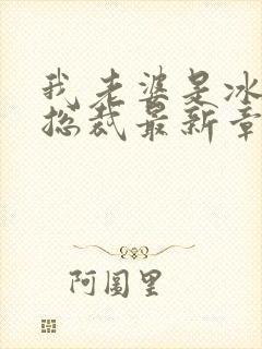 我老婆是冰山女总裁最新章节小说