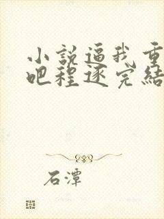 小说逼我重生是吧程逐完结版