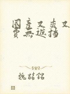 国产又爽又黄免费无遮挡