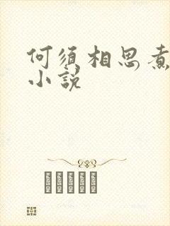 何须相思煮余年小说