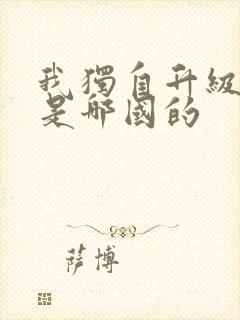 我独自升级漫画是哪国的